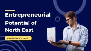 Entrepreneurial Potential of North East India